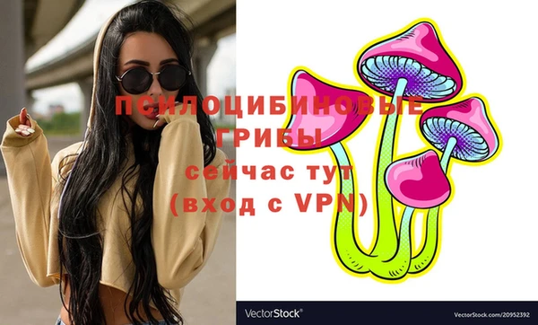молекула духа Волосово