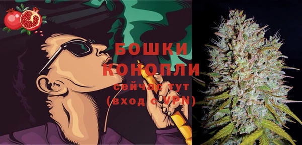 молекула духа Волосово