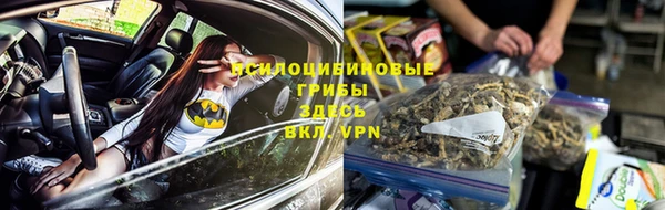 молекула духа Волосово