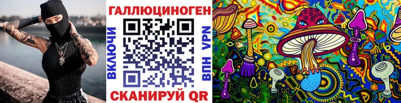 Купить где  Курчалой  Псилоцибиновые грибы Psilocybe 